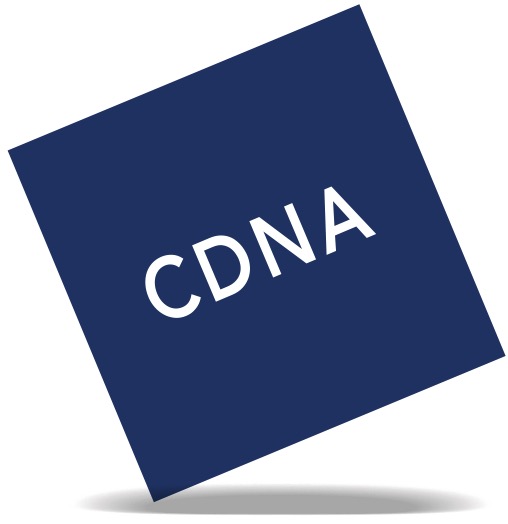 logo main
