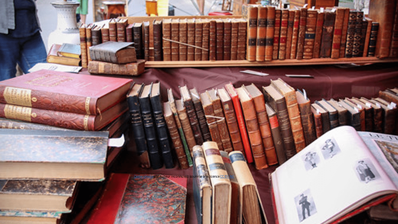 2024_secteurs_antiquites-brocante